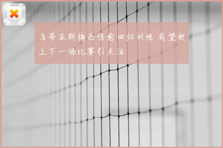 马蒂亚斯梅西伤愈回归训练 有望赶上下一场比赛引关注