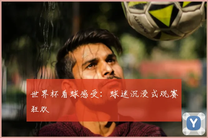 世界杯看球感受：球迷沉浸式观赛狂欢