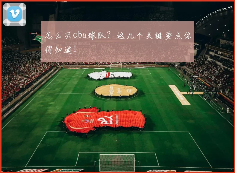 怎么买cba球队？这几个关键要点你得知道！